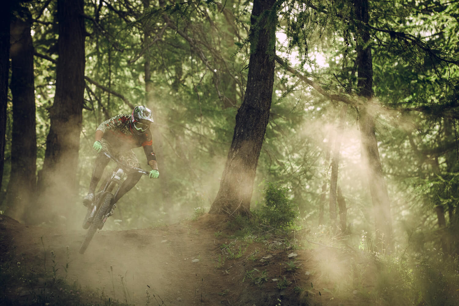 AM_French-Lessons-150705-678