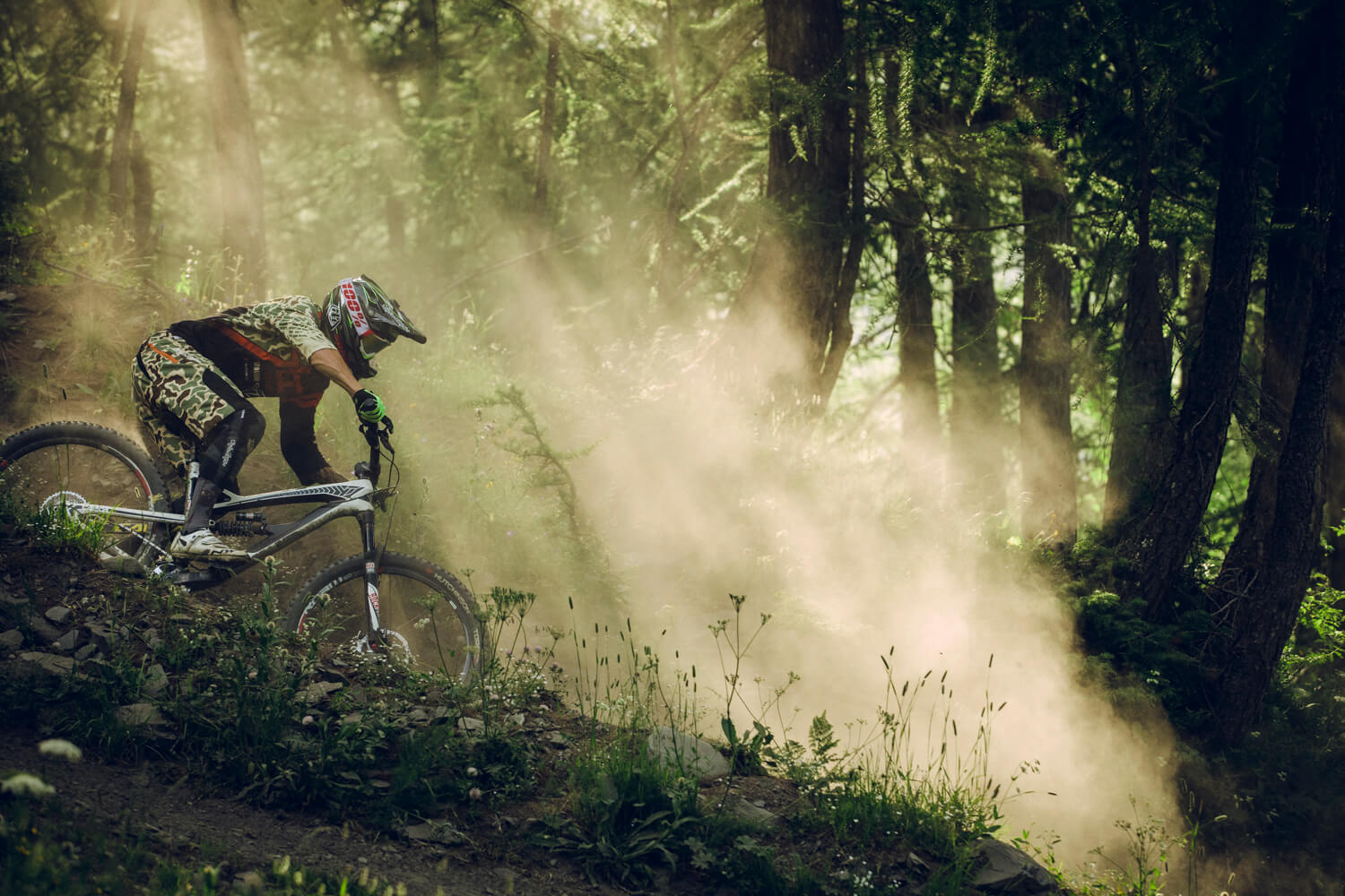 AM_French-Lessons-150705-683