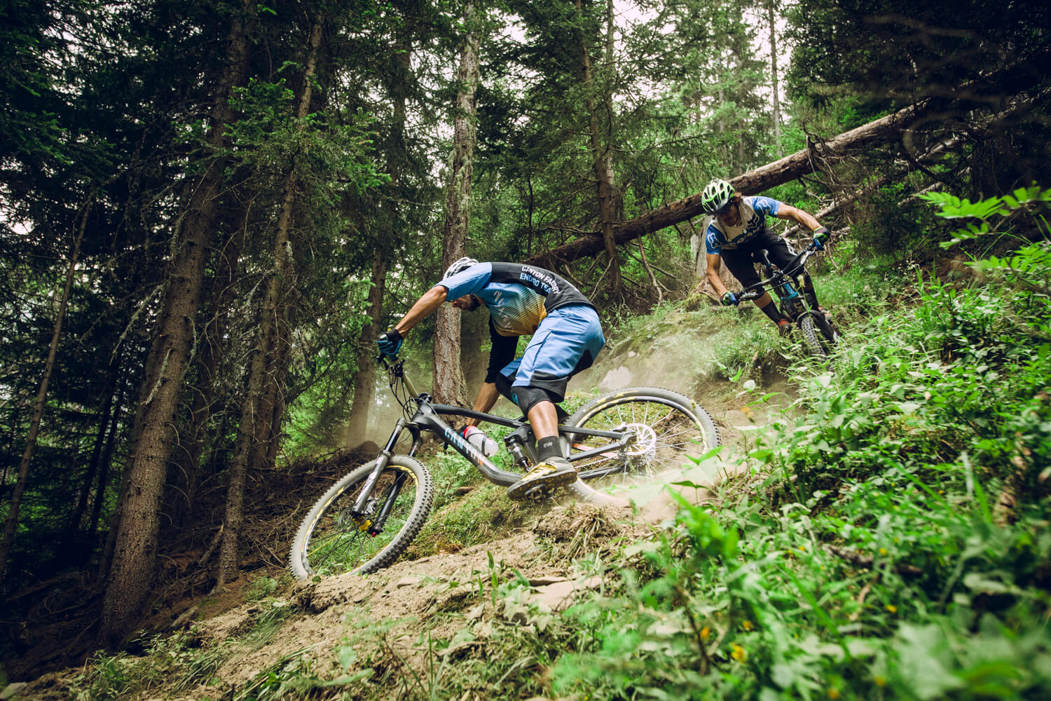 AM_French-Lessons-150706-821