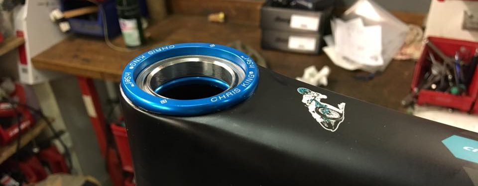 13882598_1351568261537400_2602755016143625827_n